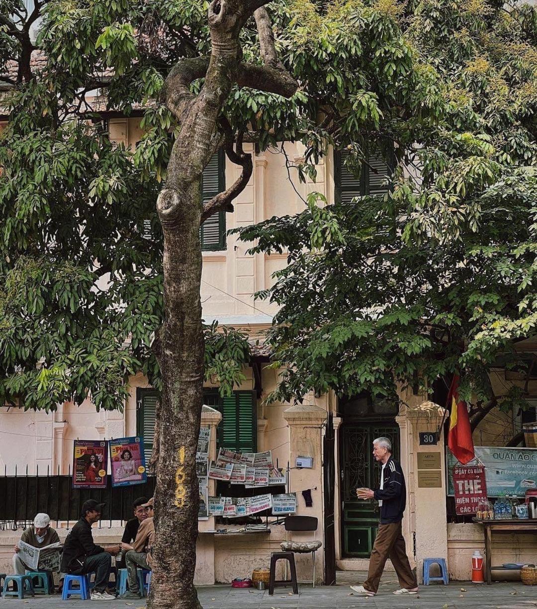 Tropical Land Little Hanoi Homestay Екстер'єр фото
