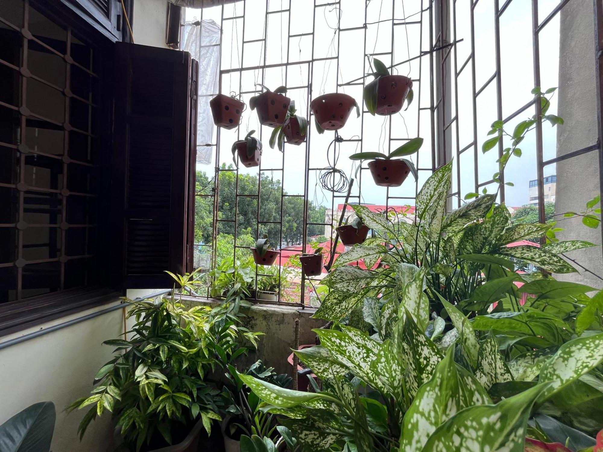 Tropical Land Little Hanoi Homestay Екстер'єр фото