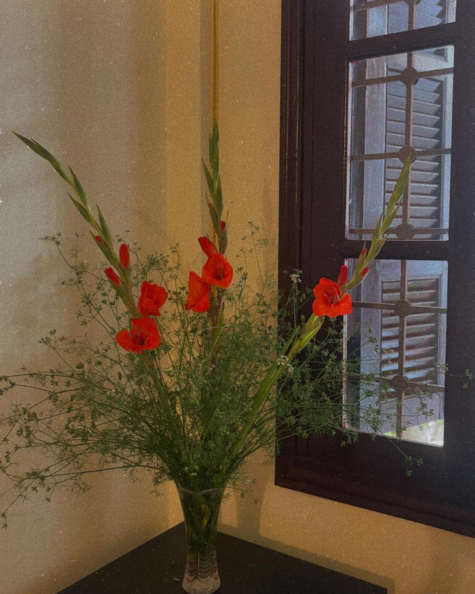 Tropical Land Little Hanoi Homestay Екстер'єр фото